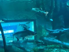 -福州罗源湾海洋世界旅游区