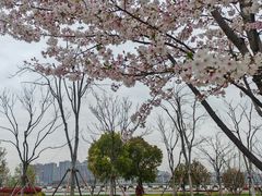 -上海山野camping·户外天幕烧烤·团建拓展营地
