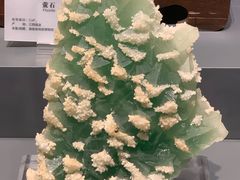 -湖南省地质博物馆