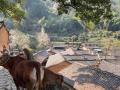 -杨家堂村