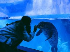 -多彩贵州城极地海洋世界