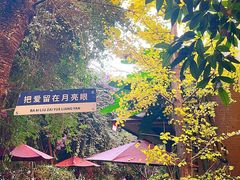 -月亮眼花园餐厅书吧酒吧