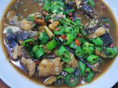 -全乐鱼馆·淳牌有机鱼直营店