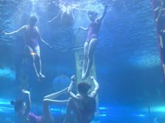 -洛阳龙门海洋馆