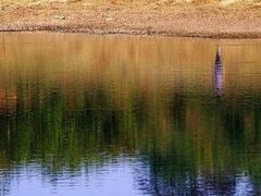 -青龙山国家森林公园