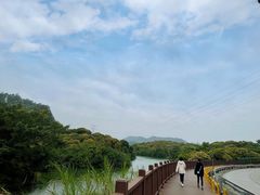 -梧桐山风景名胜区