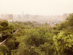 -兰山公园