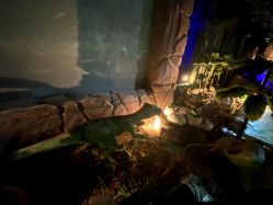 -恐龙探索乐园(磁器口店)