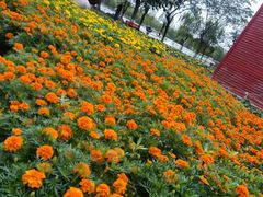 -祥源·阜阳生态乐园