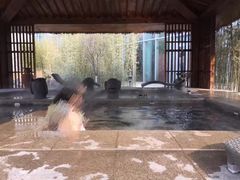 -中家鑫园温泉酒店鑫悦汤泉