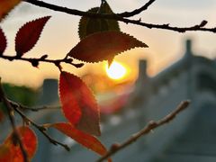 -八大山人梅湖景区