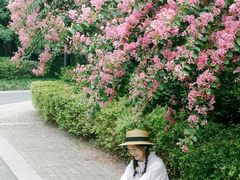 -杭州城北体育公园