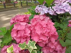 -共青国家森林公园-售票处