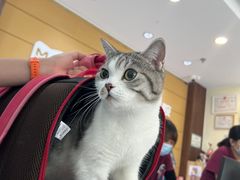 -美联众合动物医院·24h京西诊疗中心