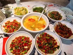 -壹盏灯(惠农店)