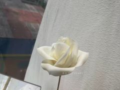 -美斯烘焙培训学院•蛋糕•面包•咖啡(宝安校区)