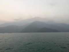 -金盆阿嬷香菇茶叶蛋(玄光店)