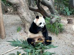 -广州长隆野生动物世界