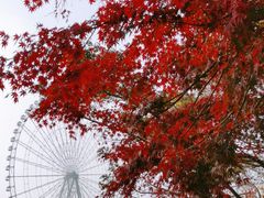 -蠡湖大桥公园