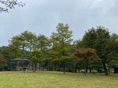 -溪口商量岗景区