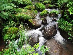 -五营红松林海景区