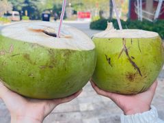 -清水湾旅游度假区