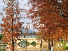 -飞来湖湿地公园