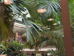 -日出拉面(望京店)
