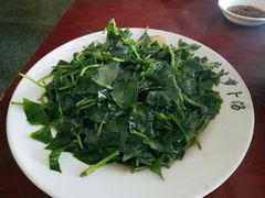-明升萝卜汤