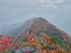 -秦岭终南山世界地质公园翠华山景区