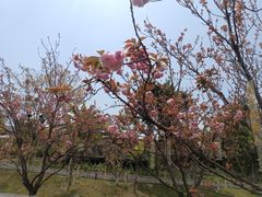 -茅草房·河畔园林火锅