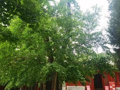 -承恩寺