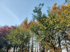 -梁鸿国家湿地公园