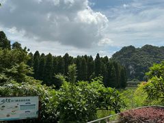 -星湖旅游景区七星岩