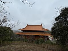 -太子山公园