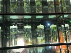 -广东中医药博物馆