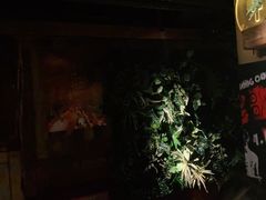 -胡桃里音乐酒馆(环亚凯瑟琳广场店)