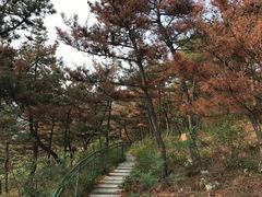 -燕窝岭