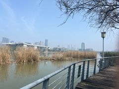 -月湖风景区