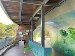 -福田红树林生态公园
