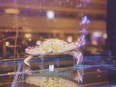景观位-东富酒家(龙湖西溪天街店)