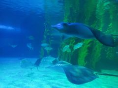 -常州海昌海洋探索馆
