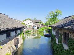 -鲁镇