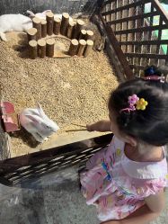 -酷嗒动物文化乐园(cutezoo西溪乐天城店)