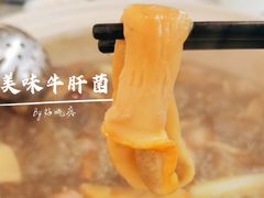 美味牛肝菌-名善山珍·野生菌汤锅(文殊院店)