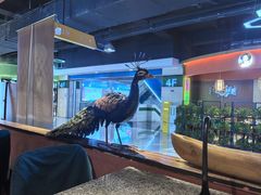 -云荷里·蒸汽石锅鱼·云南菜(中发百旺店)