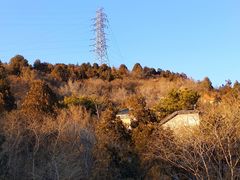 -白水寺森林公园