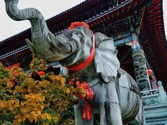 -九华山风景区