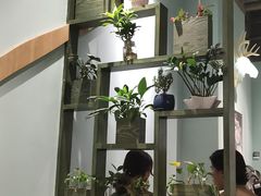 -仙踪林(江燕路万科里店)