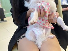 -怪兽屋·羊驼·猫咖·狗咖(俊华广场店)